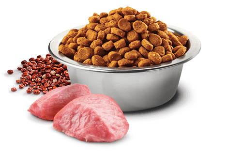 Farmina - N&D Quinoa - Weight Management Lamb Mini (Dry Dog Food)