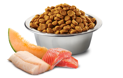 Farmina - N&D Ocean - Salmon, Cod and Cantaloupe Melon Adult Medium & Maxi (Dry Dog Food)