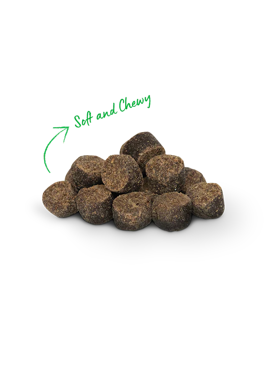 Open Farm - Be Good Bites Plant & Pumpkin Treats (For Dogs)