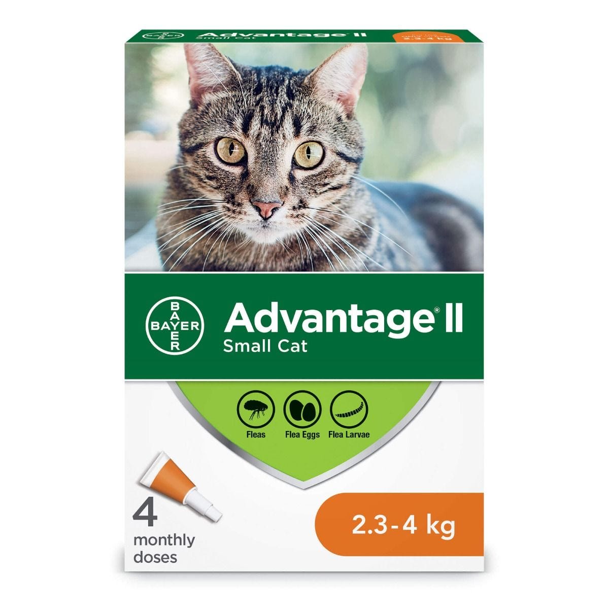 Bayer - Advantage II - Topical Flea Treatment for Cats (For Cats 2.3kg - 4kg)-ARMOR THE POOCH