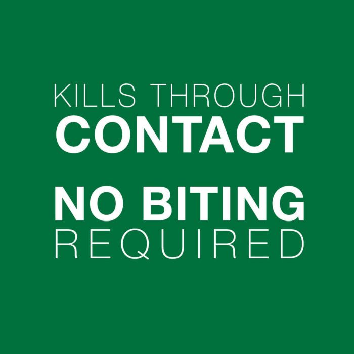 Bayer - Advantage II - Topical Flea Treatment for Cats (For Cats under 2.3kg)-ARMOR THE POOCH