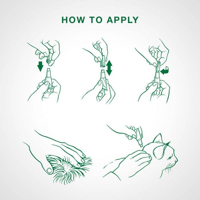 Bayer Advantage II | Flea Treatment for Cats Over 4kg | ARMOR THE POOCH