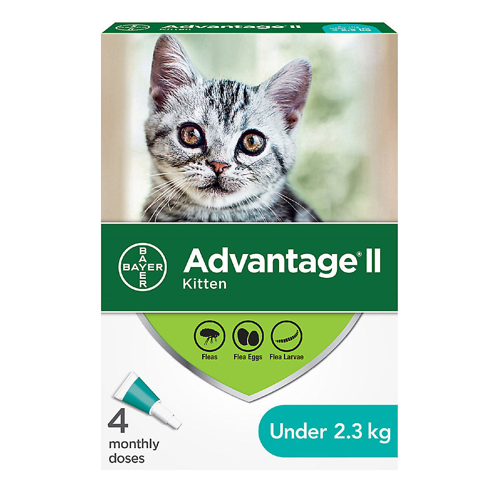 Bayer - Advantage II - Topical Flea Treatment for Cats (For Cats under 2.3kg)-ARMOR THE POOCH