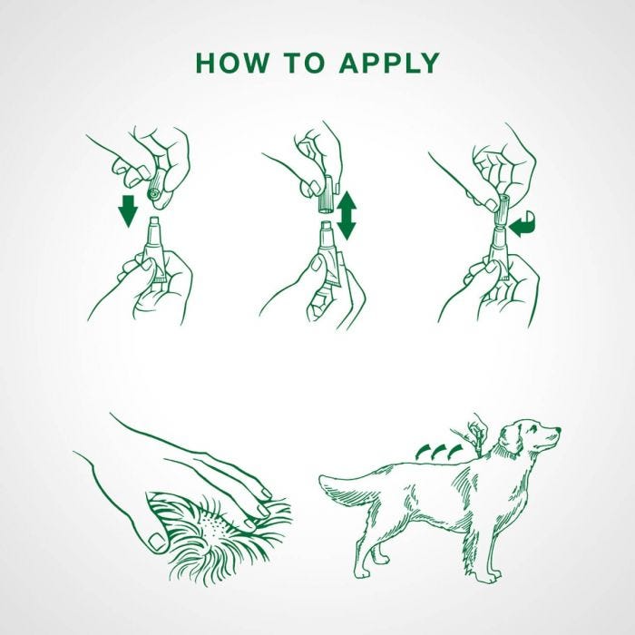 Bayer - Advantage II - Topical Flea Treatment for Dogs (For Dogs 11kg-25kg)-ARMOR THE POOCH