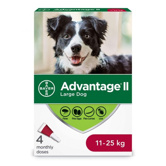 Bayer - Advantage II - Topical Flea Treatment for Dogs (For Dogs 11kg-25kg)-ARMOR THE POOCH