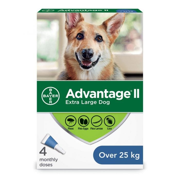 Bayer - Advantage II - Topical Flea Treatment for Dogs (For Dogs Over 25kg)-ARMOR THE POOCH