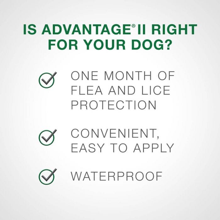 Bayer - Advantage II - Topical Flea Treatment for Dogs (For Dogs Over 25kg)-ARMOR THE POOCH
