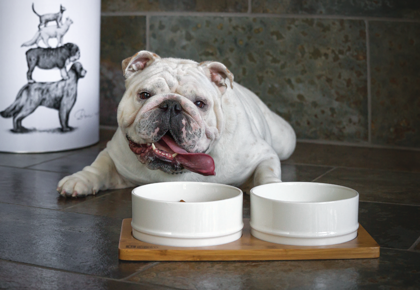 BeOneBreed - Bamboo Bowls