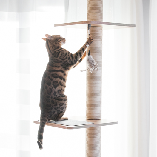 BeOneBreed - KATT3EVO Tower