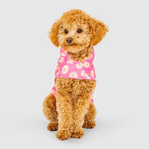 Canada Pooch - Pick Me Poncho (Daisy)