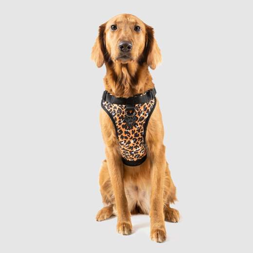 Canada Pooch - The Everything Harness Water-Resistant Series - Leopard