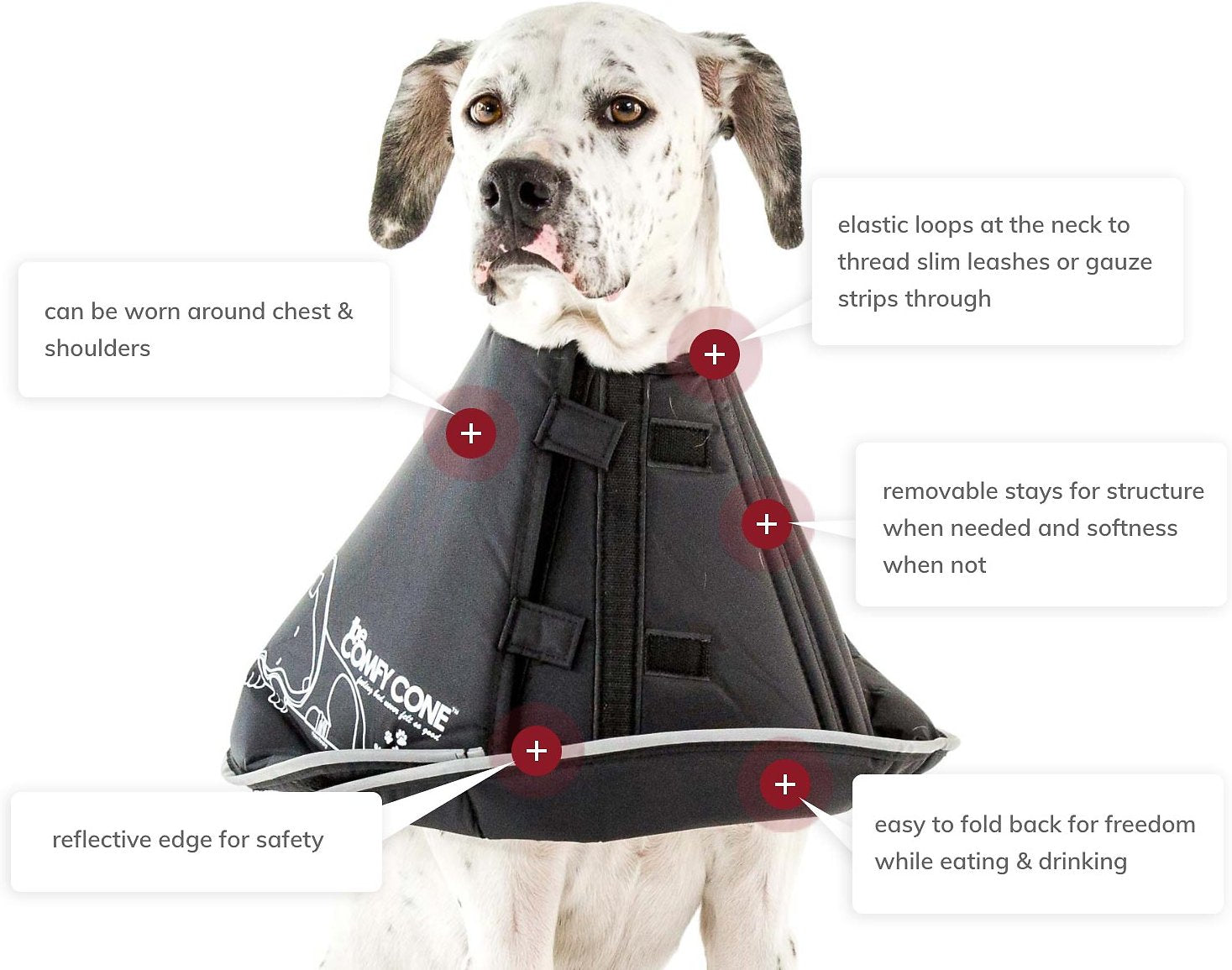 Pet Recovery Collar | ARMOR THE POOCH