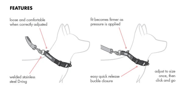EZYDOG | Checkmate Training Collar | Dog Training Collar