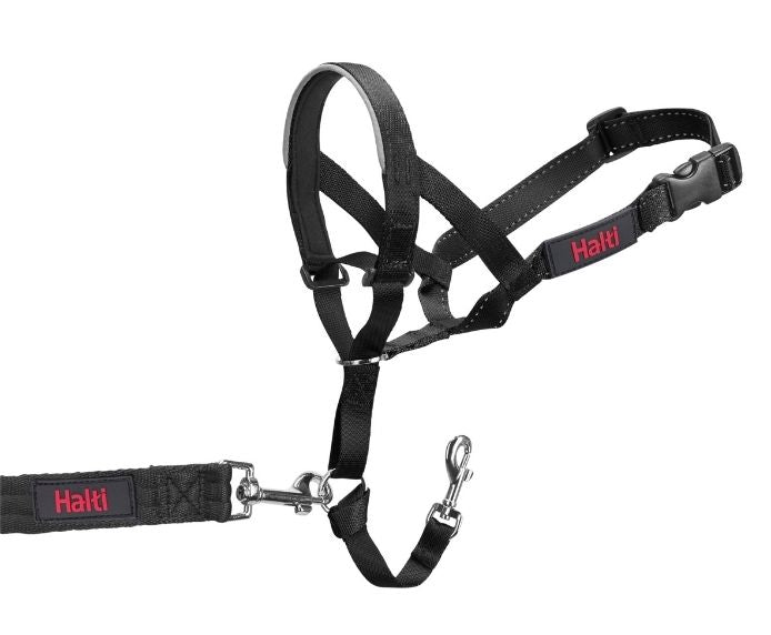Halti - Dog Headcollar
