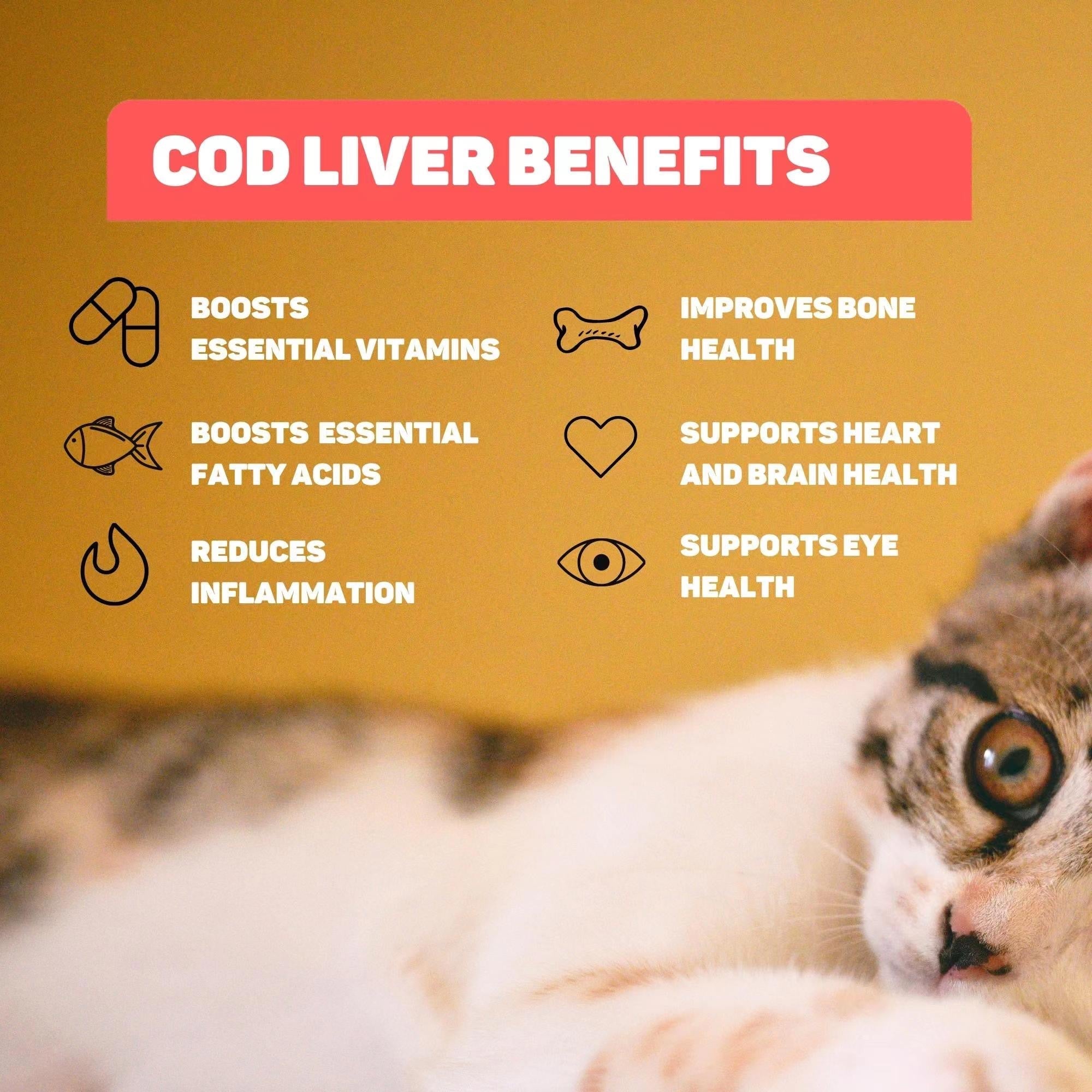 One For Pets - 100% Canadian Black Cod Liver Pate (For Both Dogs & Cats) | Wet Food for Pets