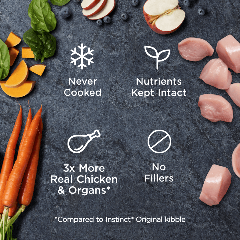 Instinct - Raw Frozen Bites Cage-Free Chicken Recipe - Frozen Product