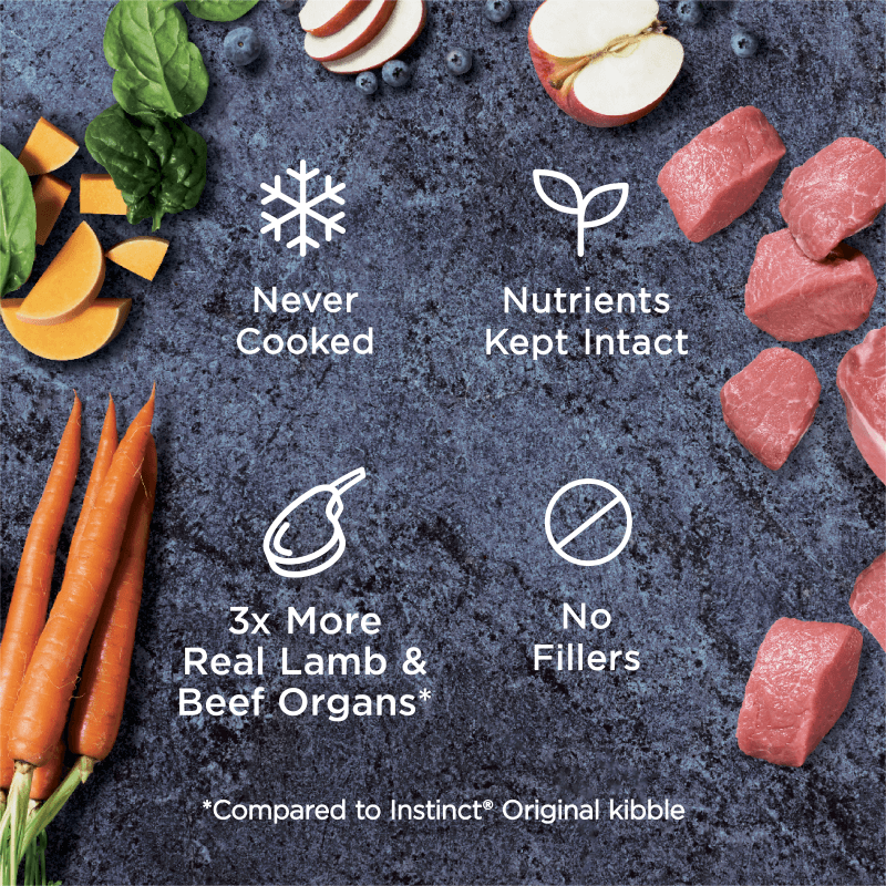 Instinct - Raw Frozen Bites Grass-Fed Lamb Recipe - Frozen Product