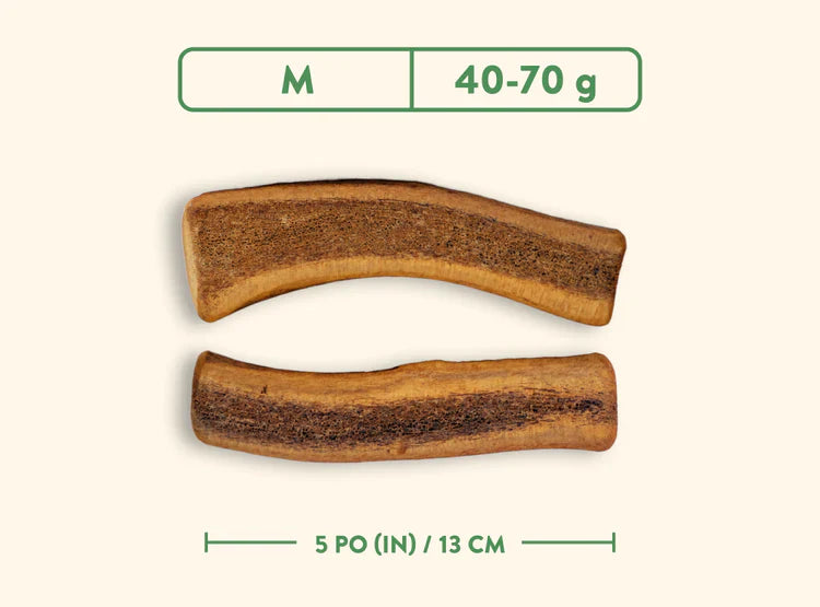 Jawgler (Dentler) - Smoked Maple Ham (Split)