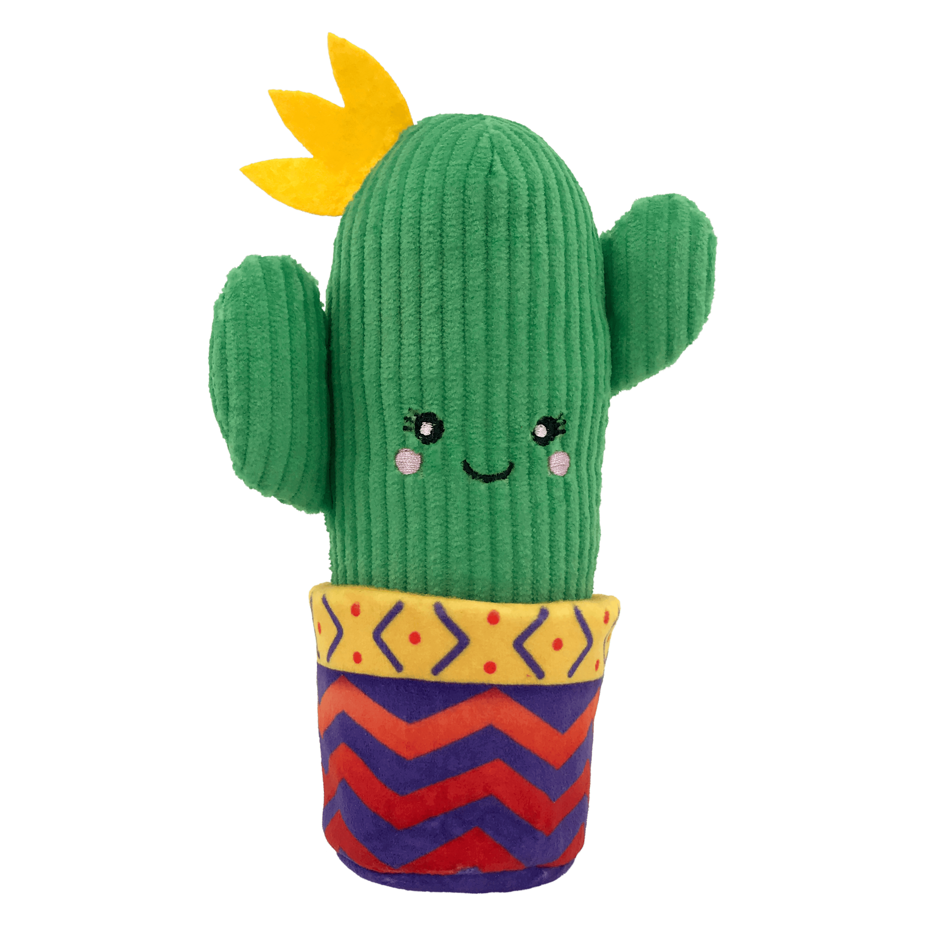 KONG | Wrangler Cactus | Cat Toys Near Me Toronto | ARMOR THE POOCH