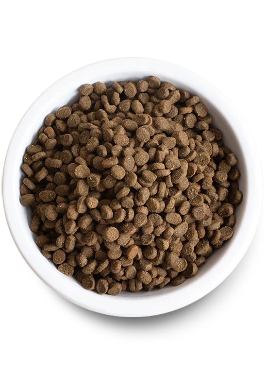 Open Farm | Grain-Free Chicken & Turkey Kitten Food | Dry Kitten Food Near Me Toronto | ARMOR THE POOCH