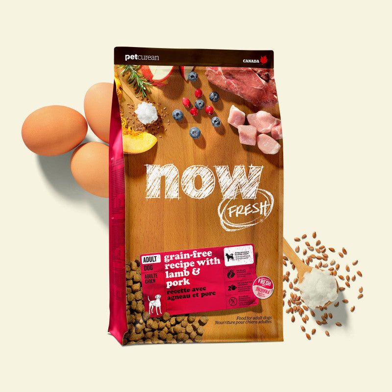 NOW FRESH - Grain Free Red Meat Recipe for Adult Dogs