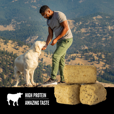 Orijen - Regional Red Freeze-Dried Dog Treats (For Dogs)