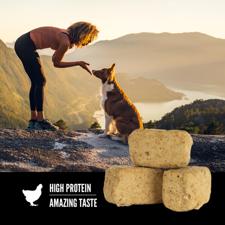 Orijen - Original Freeze-Dried Dog Treats (For Dogs)