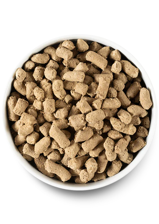 Open Farm - Pasture-raised Lamb Freeze Dried Raw Dog Food