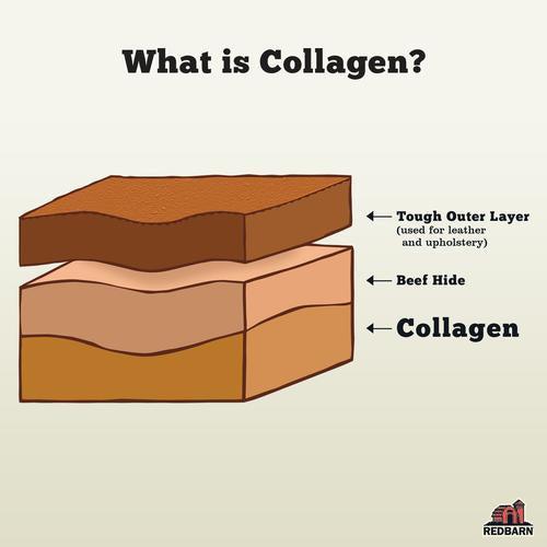 REDBARN | Collagen Stick | Dog Treats Near Me Markham | ARMOR THE POOCH