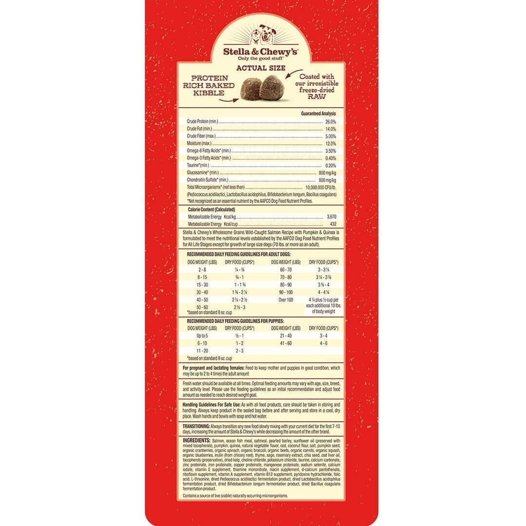 Stella & Chewy's - Salmon Recipe with Pumpkin & Quinoa Raw Coated Kibble Wholesome Grains (Dry Dog Food)