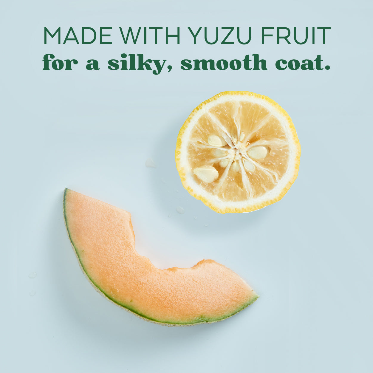 TropiClean | Yuzu Oil Refreshing Spray For Dogs Near Me | ARMOR THE POOCH