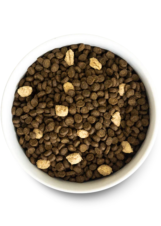 Open Farm | Wild Ocean Grain-Free RawMix for Cats | Dry Cat Food Near Me | ARMOR THE POOCH