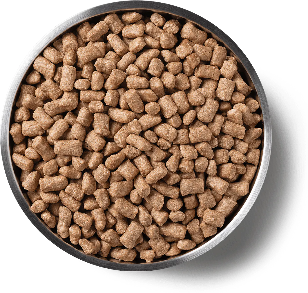 Vital Essentials (VE) - Mini Nibs - Freeze-Dried Rabbit Entree (Cat Food)