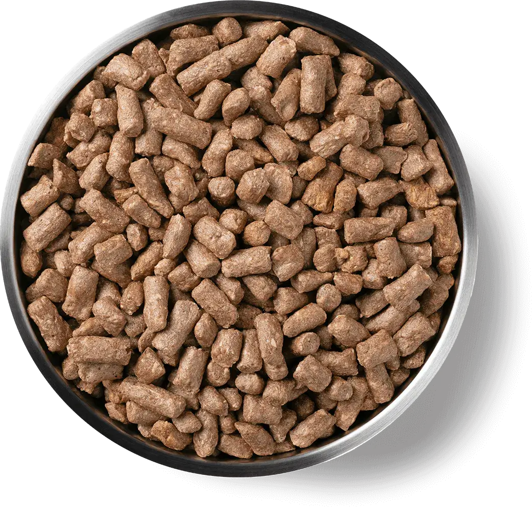 Vital Essentials (VE) - Mini Nibs - Freeze-Dried Duck Entree (Cat Food)