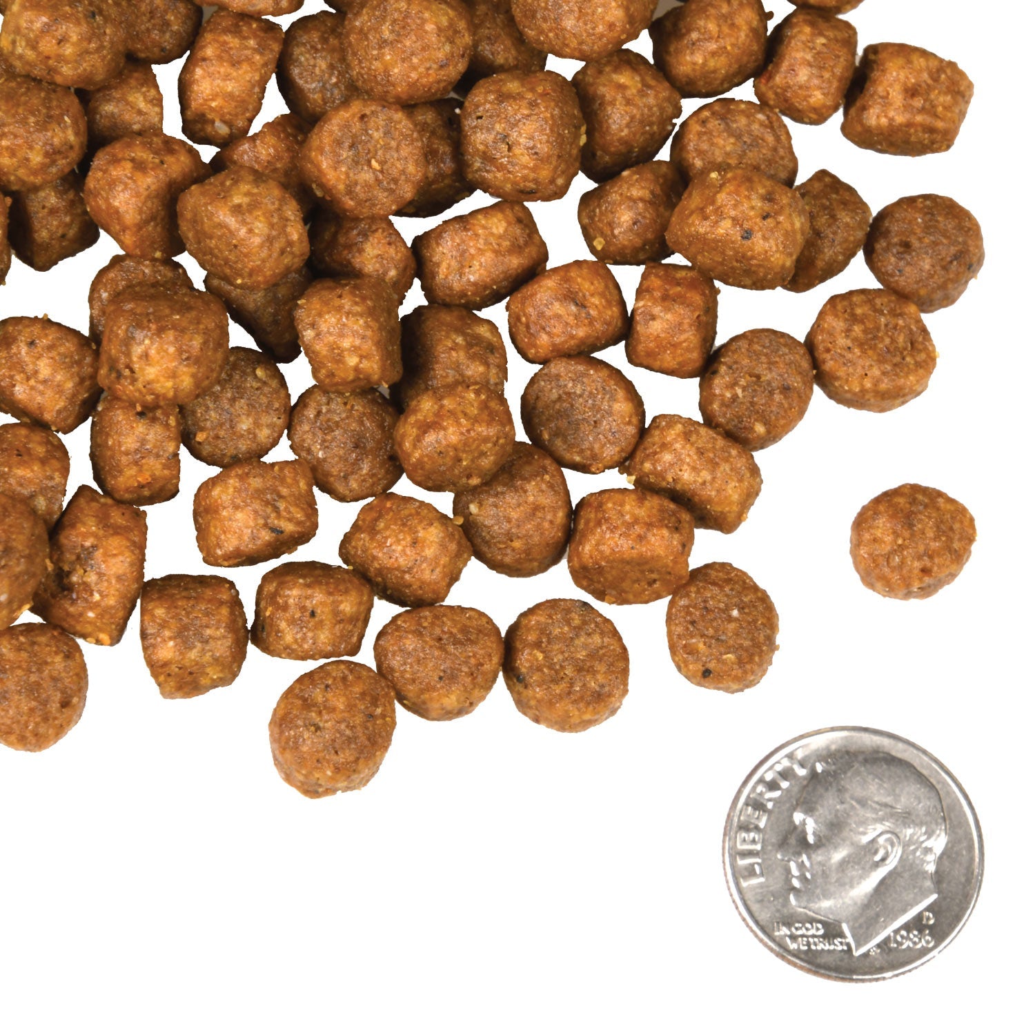 Fromm - Beef Frittata Veg Recipe (Dry Dog Food)