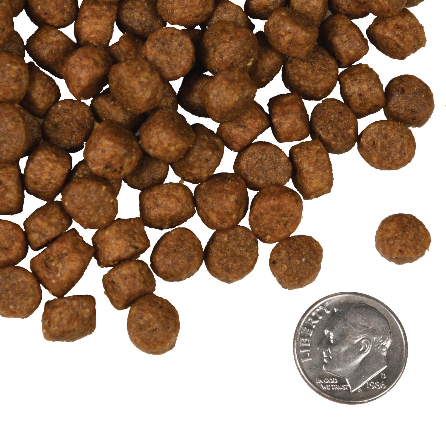 Fromm - Salmon Tunalini Recipe (Dry Dog Food)