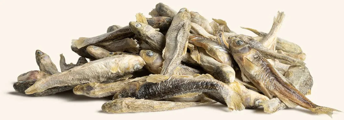 Vital Essentials (VE) - Freeze-Dried Minnows Treats (For Cats)